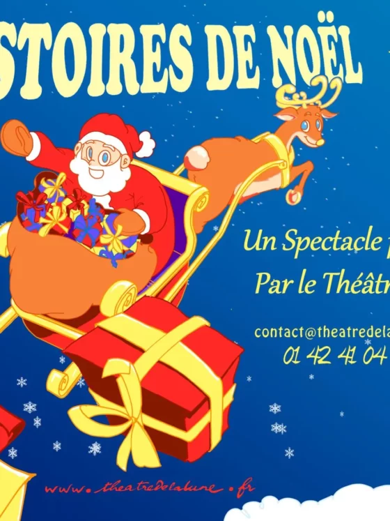 Affiche Histoires de Noel