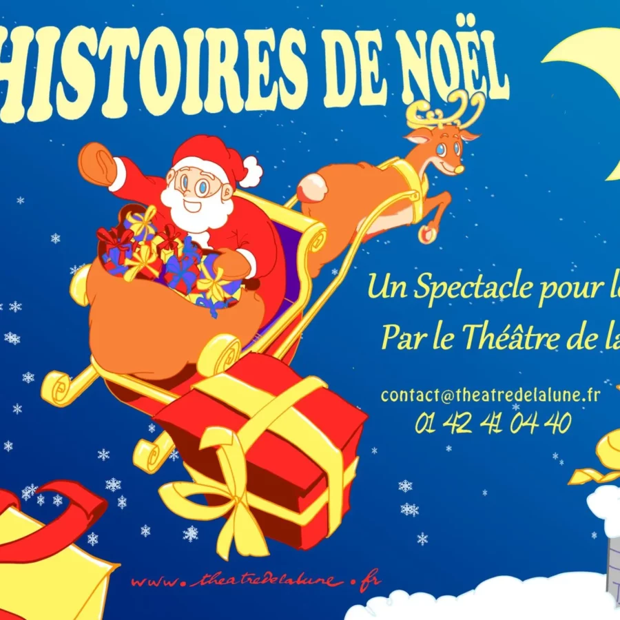 Affiche Histoires de Noel