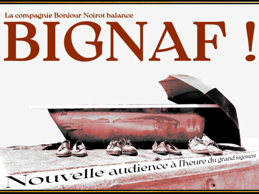 Affiche Bignaf 2