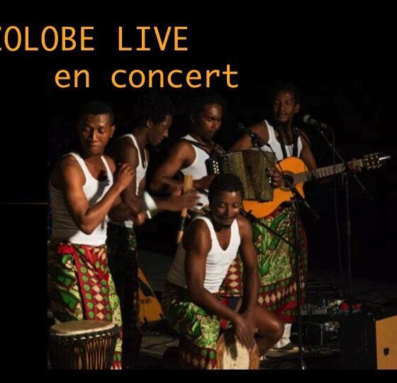 Affiche de Zolobe Live - concerts malgaches