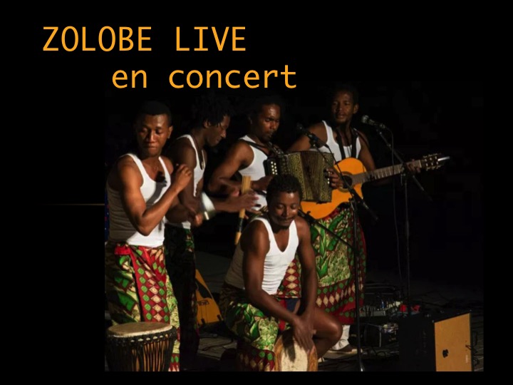 Affiche de Zolobe Live - concerts malgaches