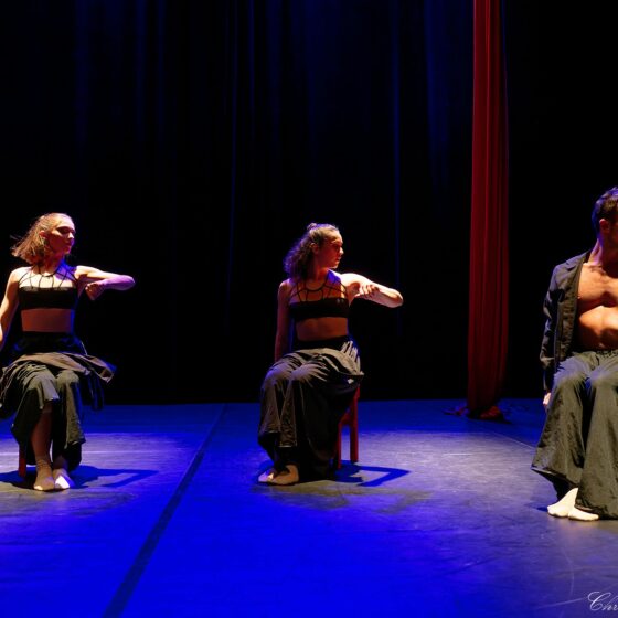 Spectacle danse : la Roue Humaine