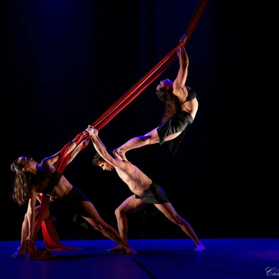 Spectacle La Roue Humaine : Danse et tissu aérien
